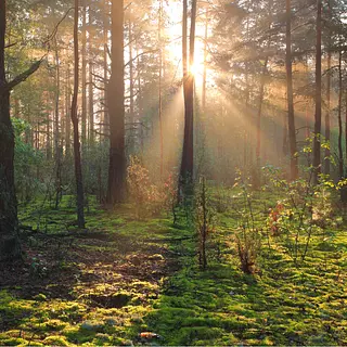 Taller De Pareja “Espejos”: Reconecta Con Lo Verdadero"