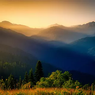 Coaching Emocional: 6 Tipologias Con Ecuación Emocional