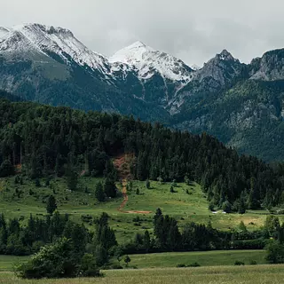 Sesión De Bioneuroemoción