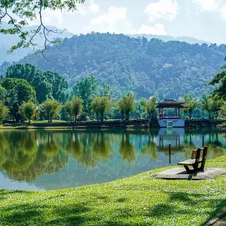 Kinesiología: Tu Camino Hacia El Equilibrio Integral