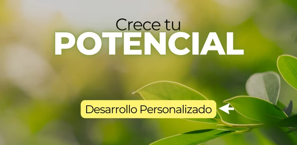 Desarrollo Personalizado